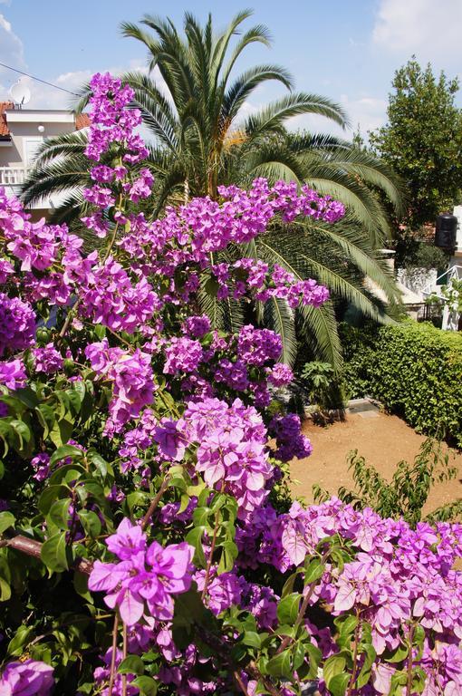 Franda Apartment Trogir